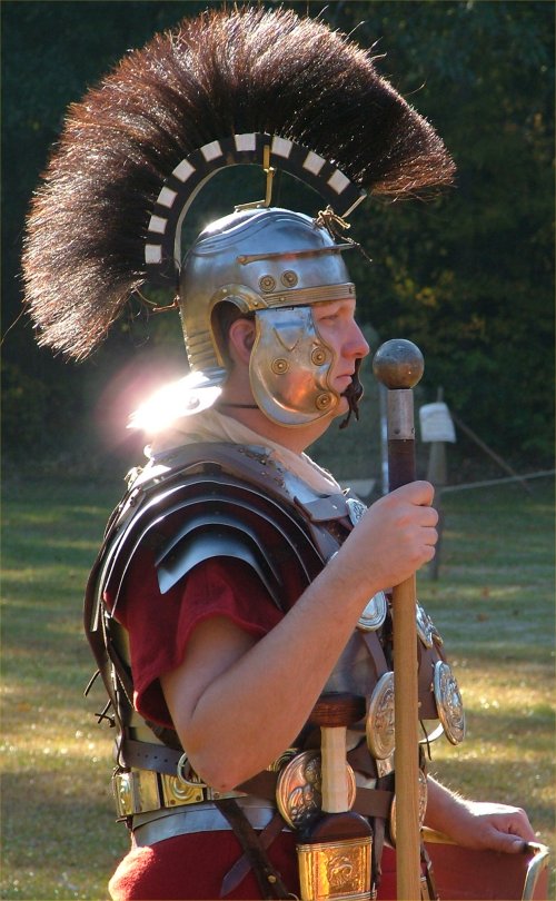 acrispusord08.jpg